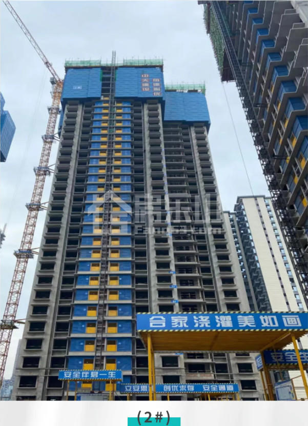 蓬勃盛夏，美好可望丨碧桂园青江府6月家书，不负佳期