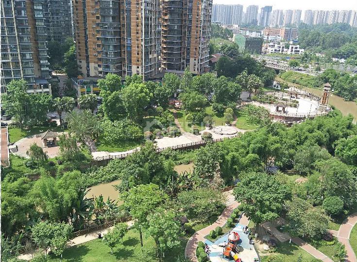 嘉州春天实景图