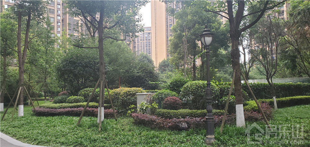 瑞松中心城实景图