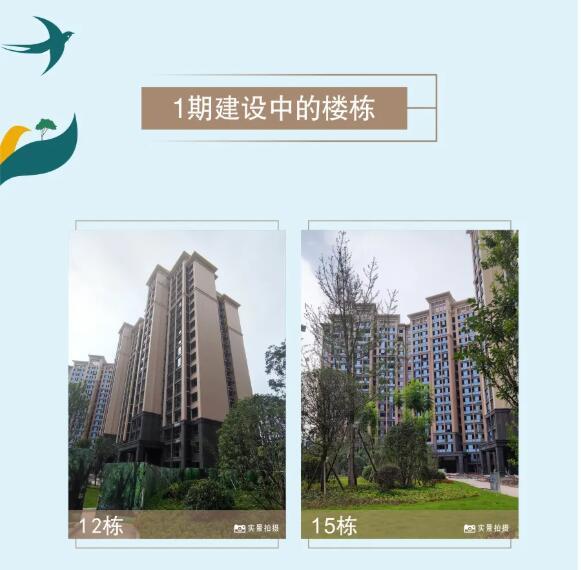 景秀峨眉工程进度