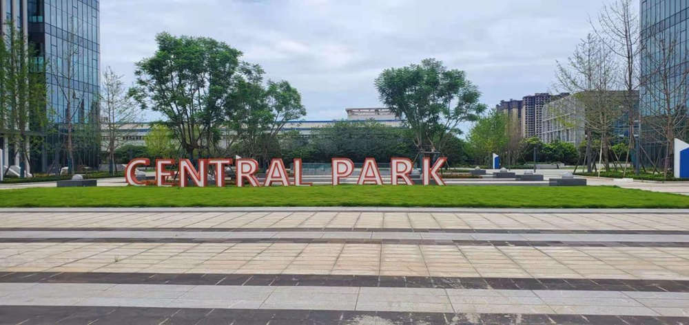 实拍Central Park-中心公园