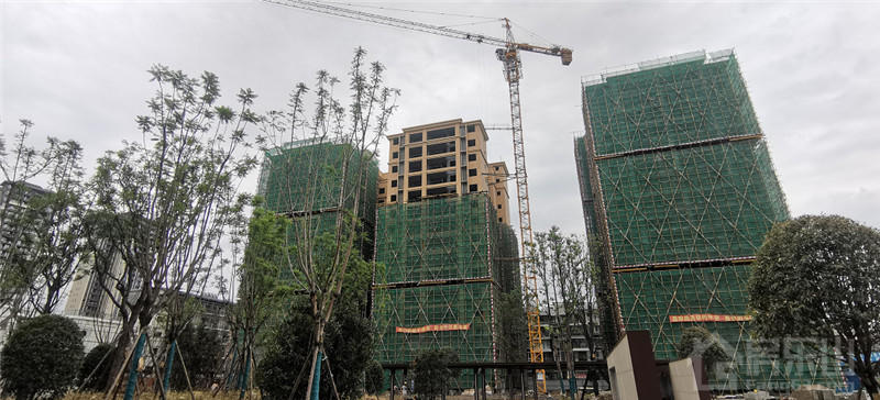 东城丽景工程进度图