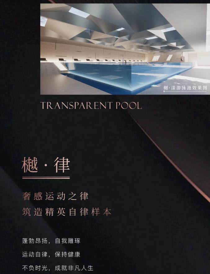 同森锦樾1号宣传图