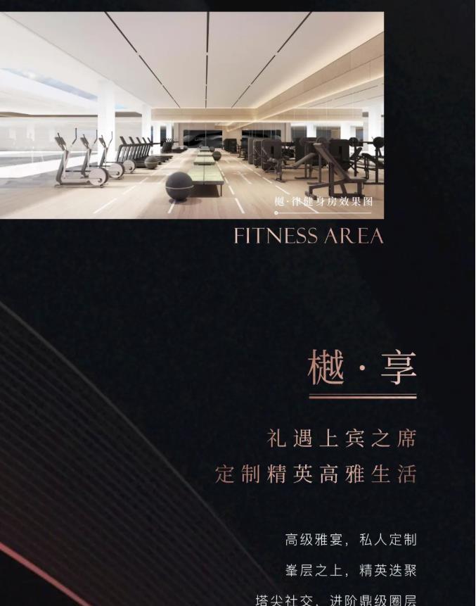 同森锦樾1号宣传图