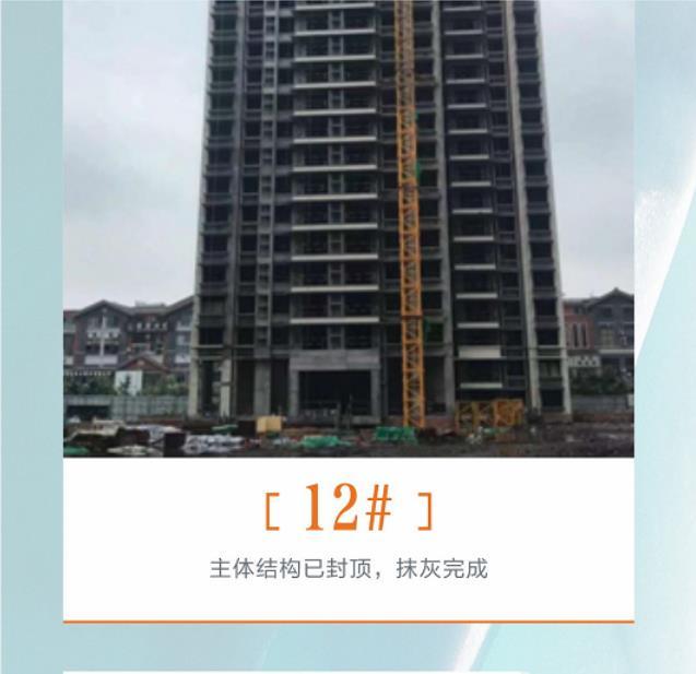 碧桂园青江府8月工程进度 碧桂园青江府8月工程进度