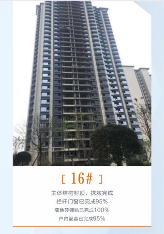 碧桂园青江府8月工程进度图 碧桂园青江府8月工程进度图