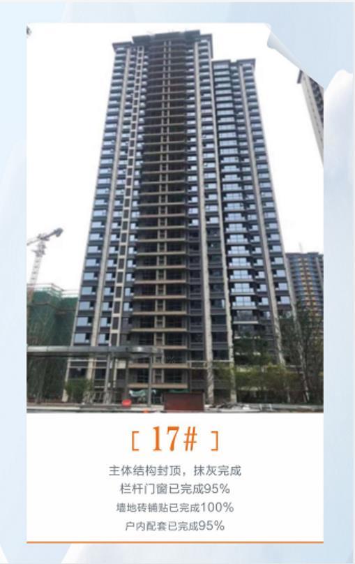 碧桂园青江府8月工程进度 碧桂园青江府8月工程进度