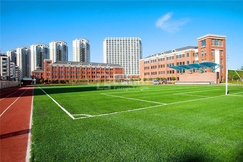 ◎学校示意丨图片源于网络 ◎学校示意丨图片源于网络