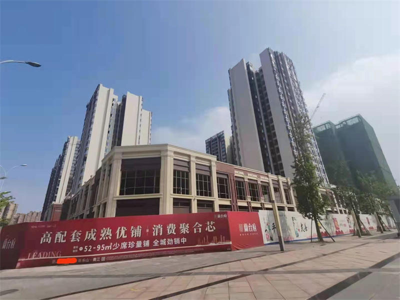乐山领地蘭台府实景图