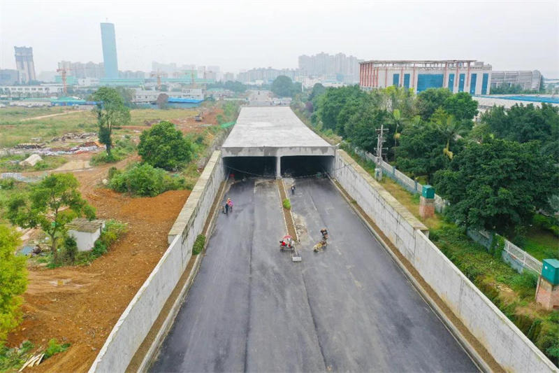 乐山高新区乐高大道(迎宾大道至龙安路) 乐山高新区乐高大道(迎宾大道至龙安路)