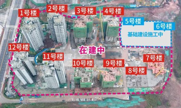 臻情暖冬，匠心筑家！领丰公园墅十一月工程进度播报！