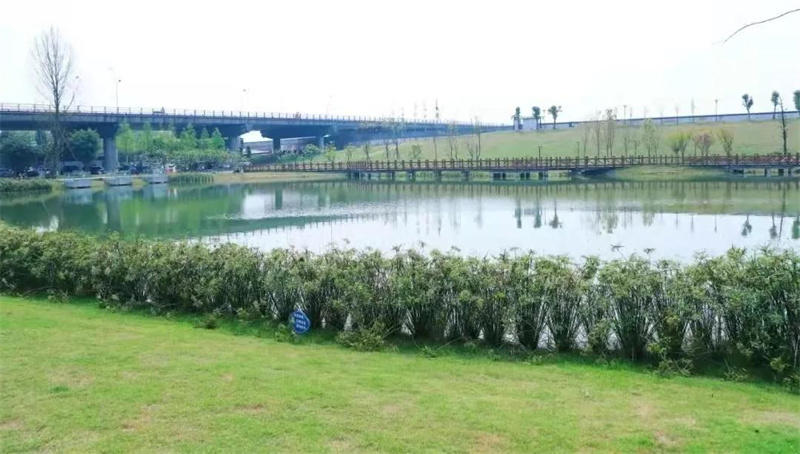 龙腾湖湿地公园实景图 龙腾湖湿地公园实景图