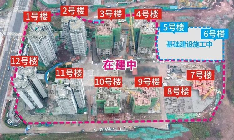 领丰公园墅，一月工程进度播报！