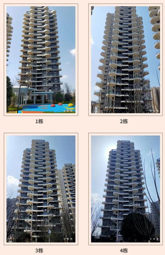 阳光云玺工程进度图