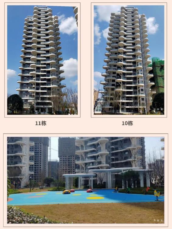 阳光云玺工程进度图