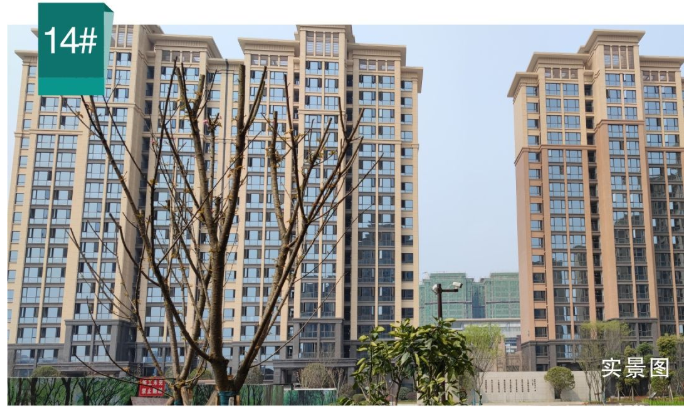 景秀峨眉工程进度 景秀峨眉工程进度