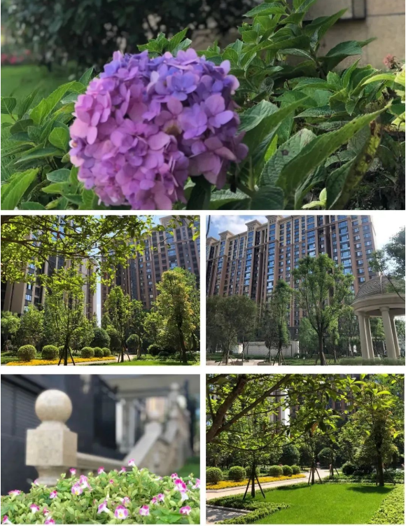 景秀峨眉园林景观 景秀峨眉园林景观