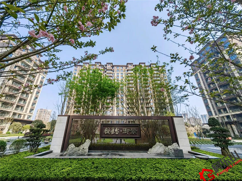 匠心筑建，领丰铜雀台御景三月实景美好层现！