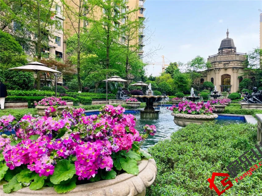 滟澜洲实景图
