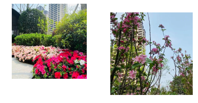0916304842788bad307708.png 寰?俊鎴?浘_20220409162238.png