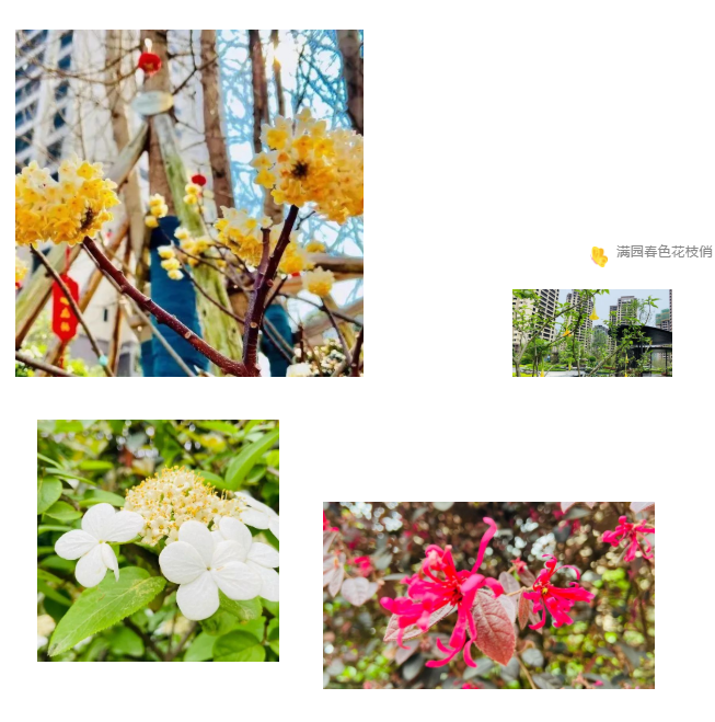 091631087d7294082e8112.png 寰?俊鎴?浘_20220409162245.png