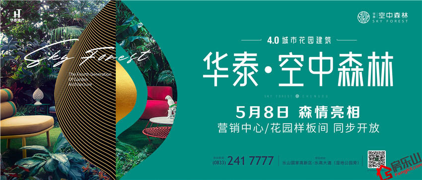 华泰空中森林活动图片 华泰空中森林活动图片