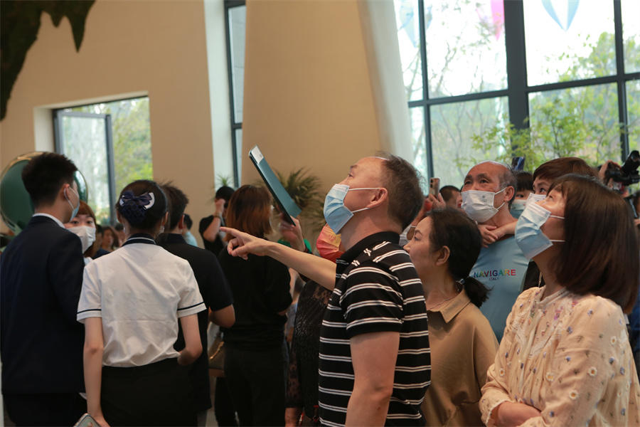 华泰空中森林亮相火爆 华泰空中森林亮相火爆