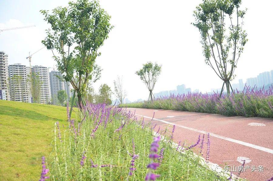 实景图 实景图