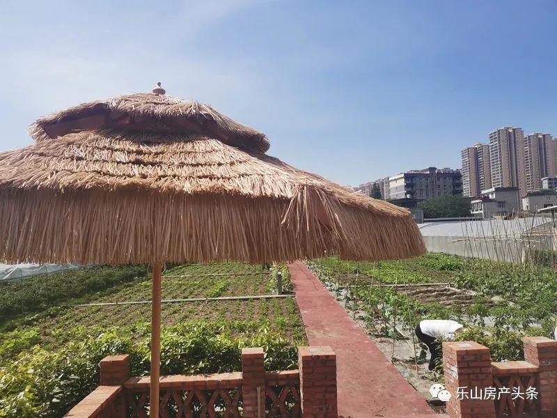 嘉州外滩QQ农村实景图 嘉州外滩QQ农村实景图