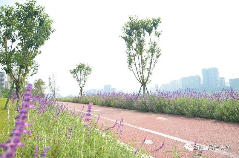 19161849e51d4e04116660.jpg 寰?俊鍥剧墖_20220519161828.jpg