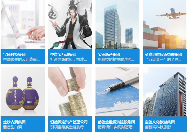 宝德集团业务板块 宝德集团业务板块