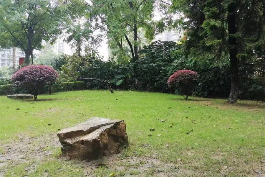 010953249518eeb0007619.jpg 寰?俊鍥剧墖_20220701094228.jpg