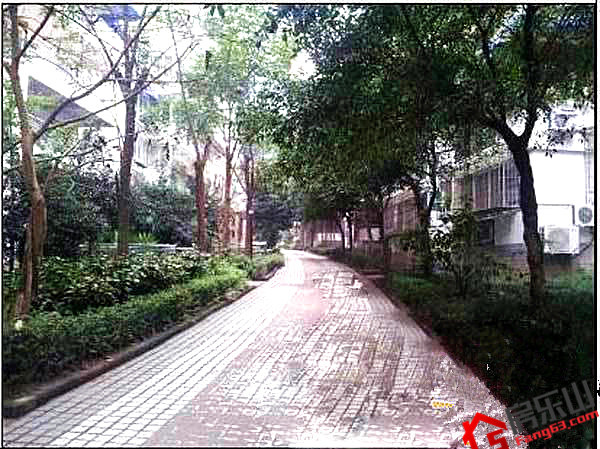 海棠香国实景图