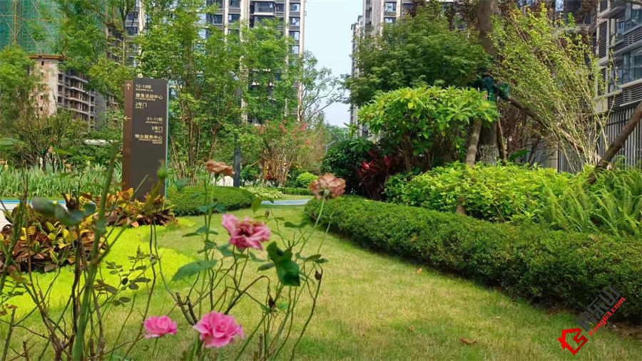 19164836ca3ae0047c5970.jpg 寰?俊鍥剧墖_202208191627421.jpg