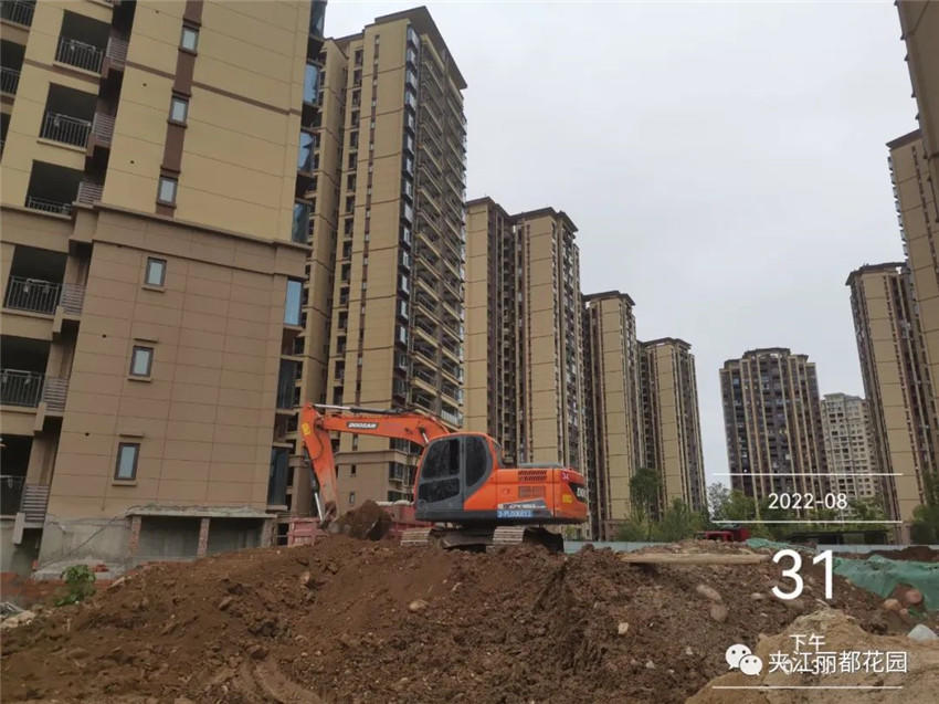 丽都花园工程进度 丽都花园工程进度