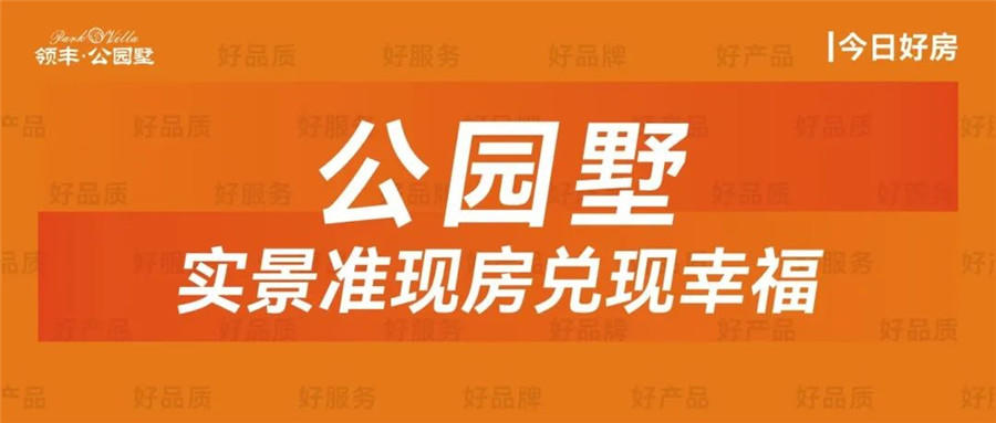 领丰公园墅
