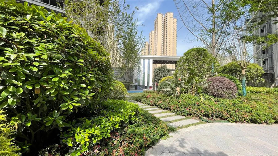 领丰公园墅实景图