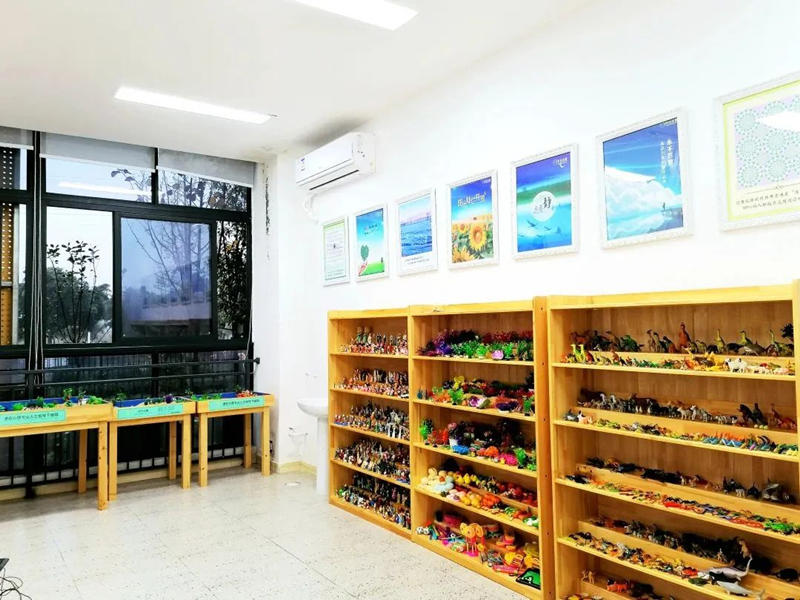 乐师附小高新校区实景图 乐师附小高新校区实景图