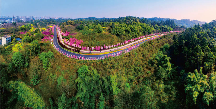 乐山绿心公园 乐山绿心公园