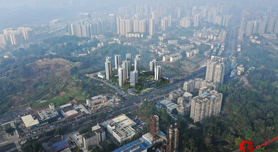 项目效果图 项目效果图