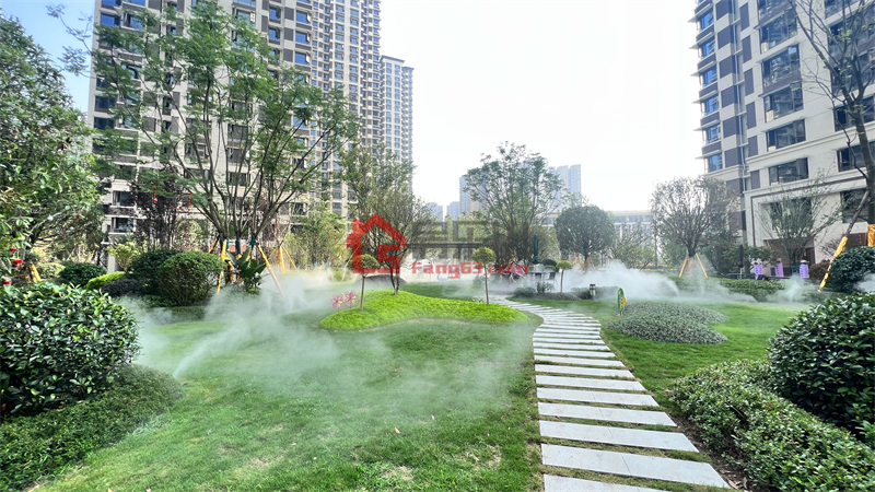 青江壹号实景图