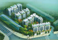 锦绣春华（春华晨韵）