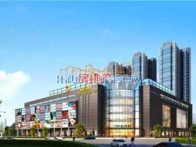 乐山沙湾中天购物广场财富高峰论坛1月17日举行