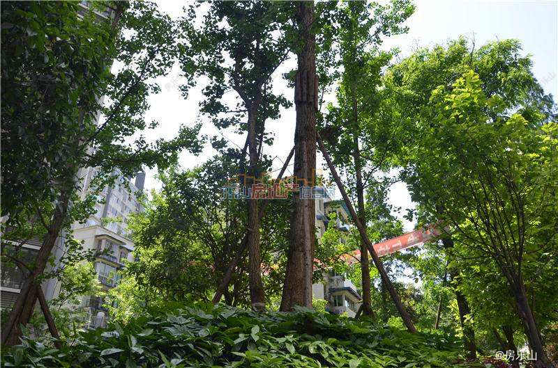 三江名都实景图