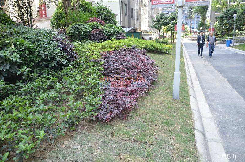 三江名都实景图