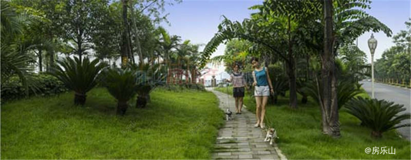 西岸第一城实景图