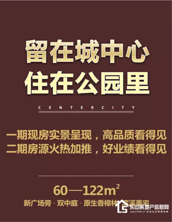 中心城