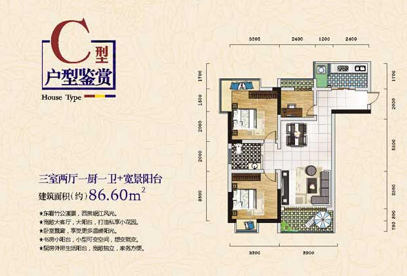 金榜世家C