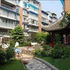 紫气东升实景图