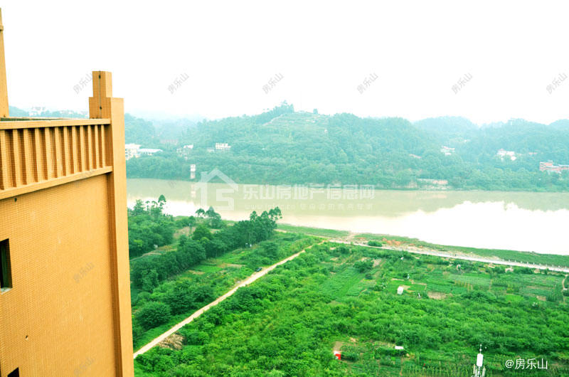 西岸第一城实景图